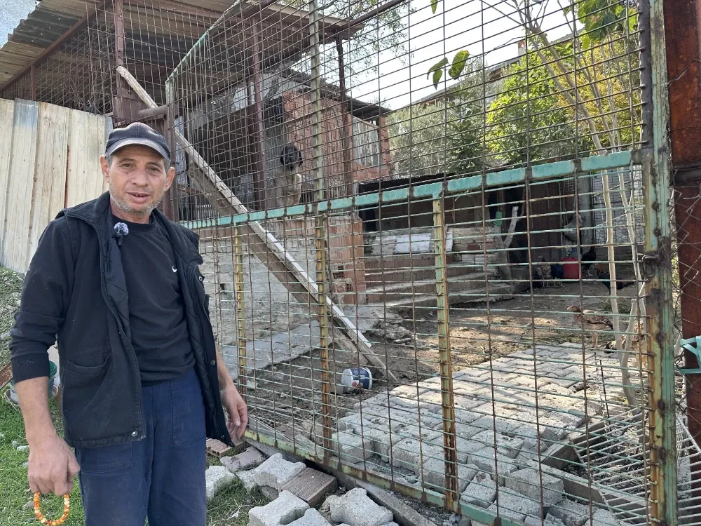 Kozanlı Köyünde “Tavuk Şikayeti”ne Tepki: “Yediğimiz Yumurtayı Çarşıdan mı Getirelim?”