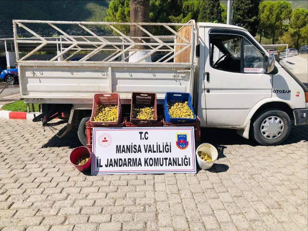 Kırkağaç’ta Meyve Bahçesinden İncir Çalan 5 Kişi Suçüstü Yakalandı