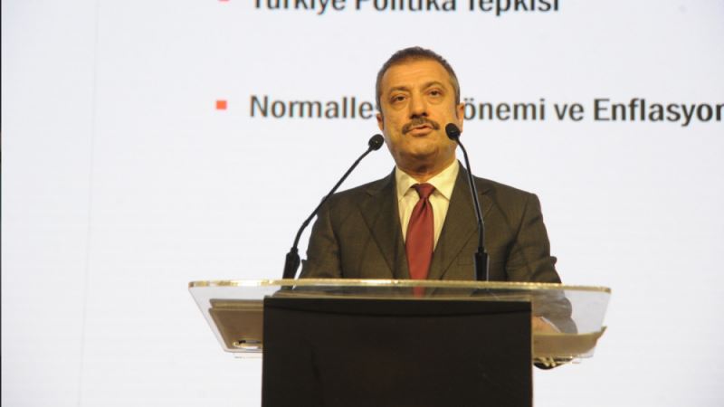 Şahap Kavcıoğlu: Kur çok hızlı inerse döviz alımına başlanabilir