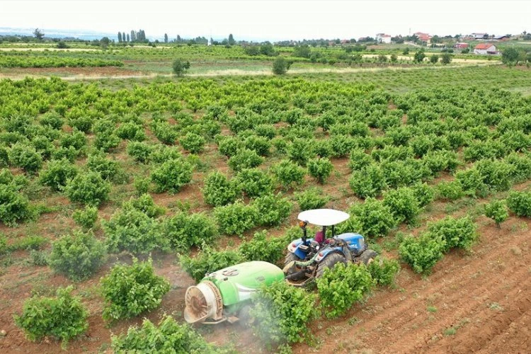 Çiftçiye toprak analiz desteği