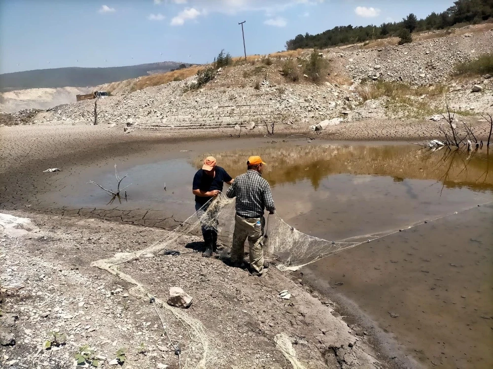 Soma’da Balıklar İçin Seferberlik: Göletteki Canlılar Kurtarıldı