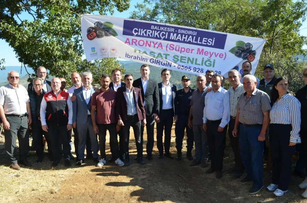 SINDIRGI ÇIKRIKÇI MAHALLESİNDE PROTOKOL ÜYELERİ ARONYA HASADI YAPTI