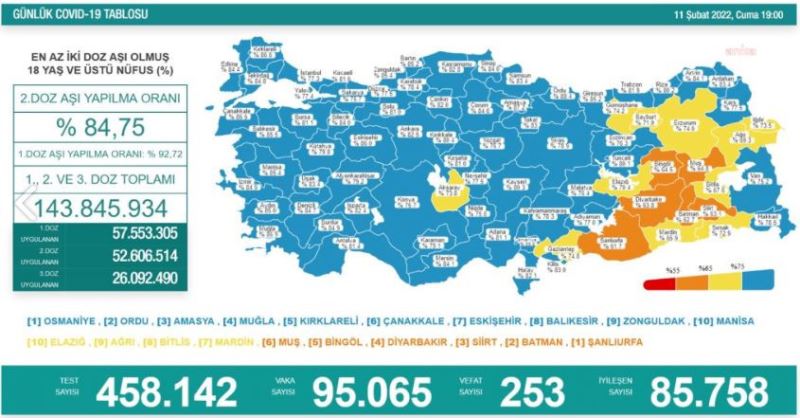 Koronavirüste Bugün: 253 Kişi Hayatını Kaybetti, 95 Bin 65 Yeni Vaka Tespit Edildi